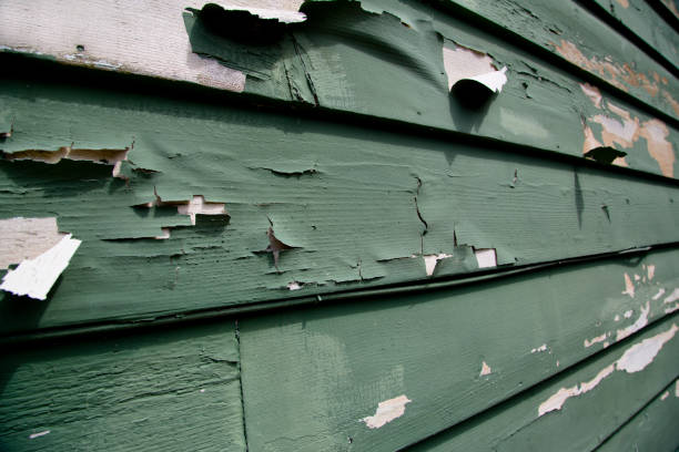 Best Custom Trim and Detailing for Siding  in Fillmore, UT