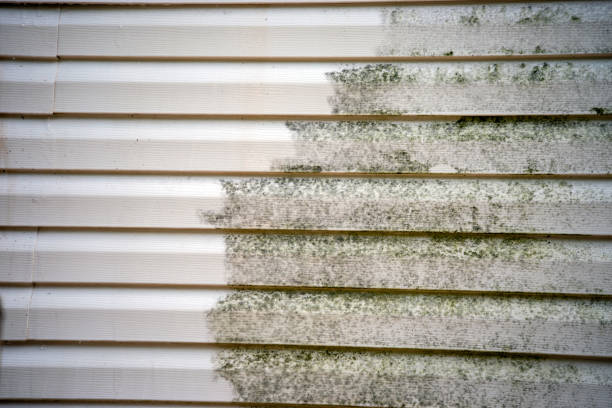 Best Siding Removal and Disposal  in Fillmore, UT