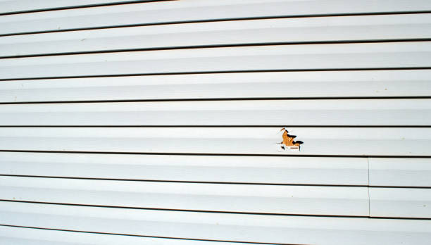 Best Residential Vinyl Siding Installation  in Fillmore, UT