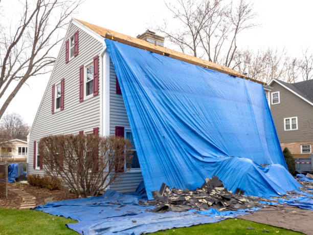 Best Custom Trim and Detailing for Siding  in Fillmore, UT