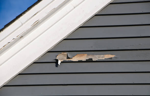 Best Brick Veneer Siding  in Fillmore, UT